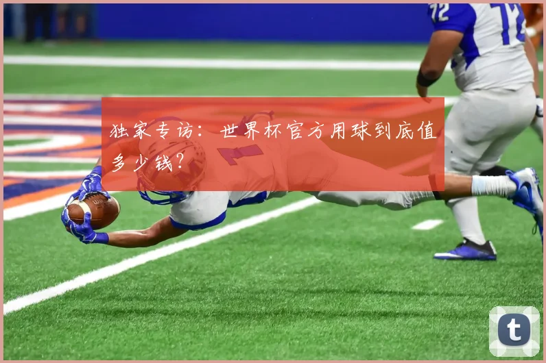 独家专访:世界杯官方用球到底值多少钱?