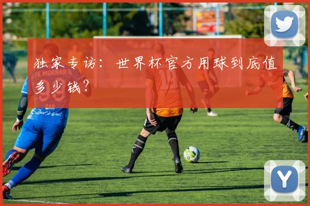 独家专访：世界杯官方用球到底值多少钱？