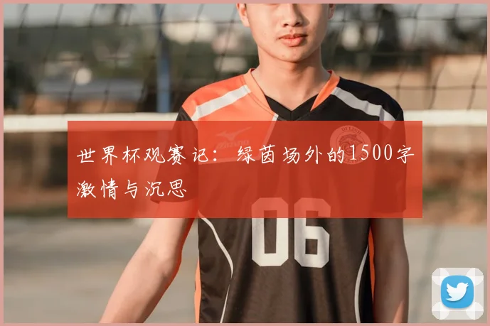 世界杯观赛记：绿茵场外的1500字激情与沉思