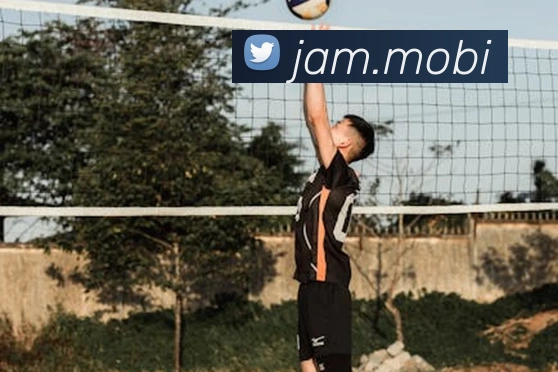 开云官方网站下载app服务体系